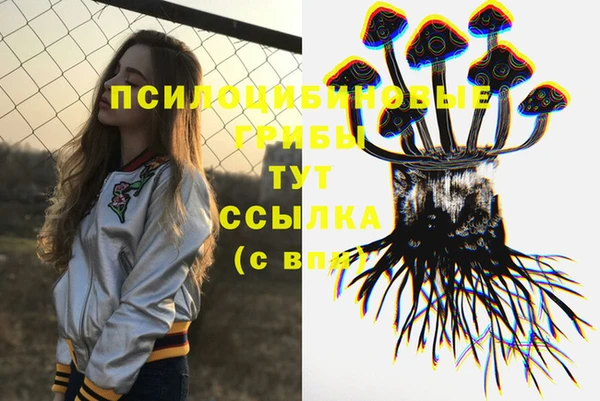 ГАЛЛЮЦИНОГЕННЫЕ ГРИБЫ Арсеньев