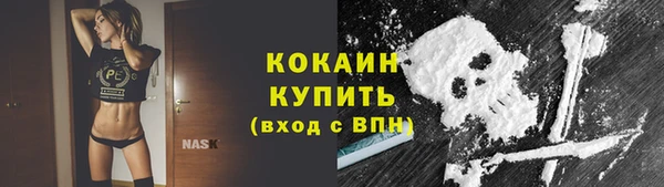 ГАЛЛЮЦИНОГЕННЫЕ ГРИБЫ Арсеньев