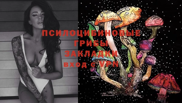 ПСИЛОЦИБИНОВЫЕ ГРИБЫ Аркадак