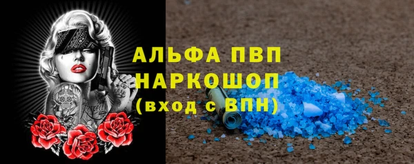 ПСИЛОЦИБИНОВЫЕ ГРИБЫ Аркадак