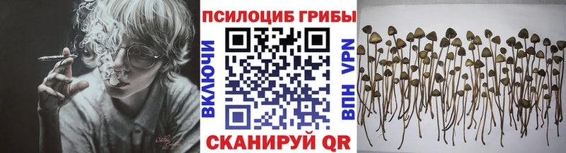 Галлюциногенные грибы прущие грибы  Россошь 
