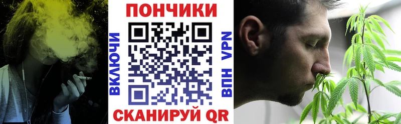Бошки марихуана Amnesia  закладка  Россошь 